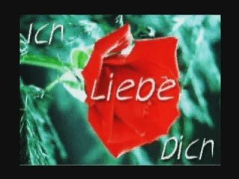 LUMINITA SOARE HISTORIA DE UN AMOR -Variante 2 TANGO