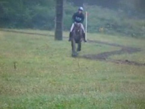 Cce questembert 03-08-2008