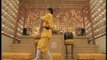 How to: Wing Chun Kung Fu fighting