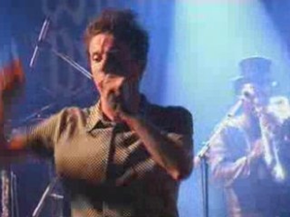 Washington dead cats - haunted house