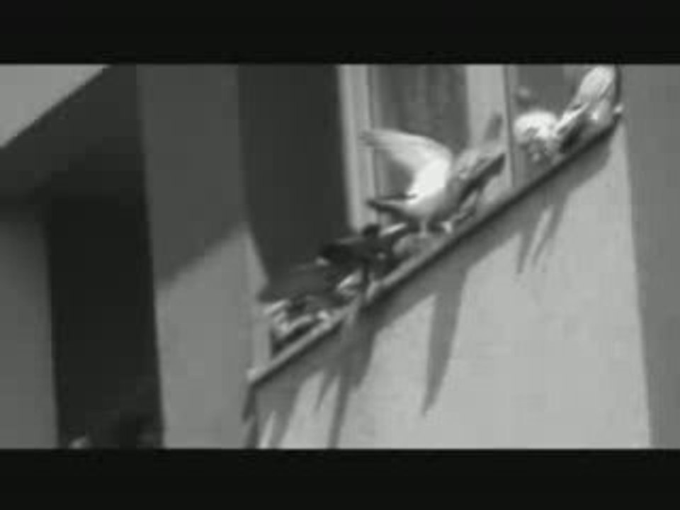 Mysa - ceux qui vivent