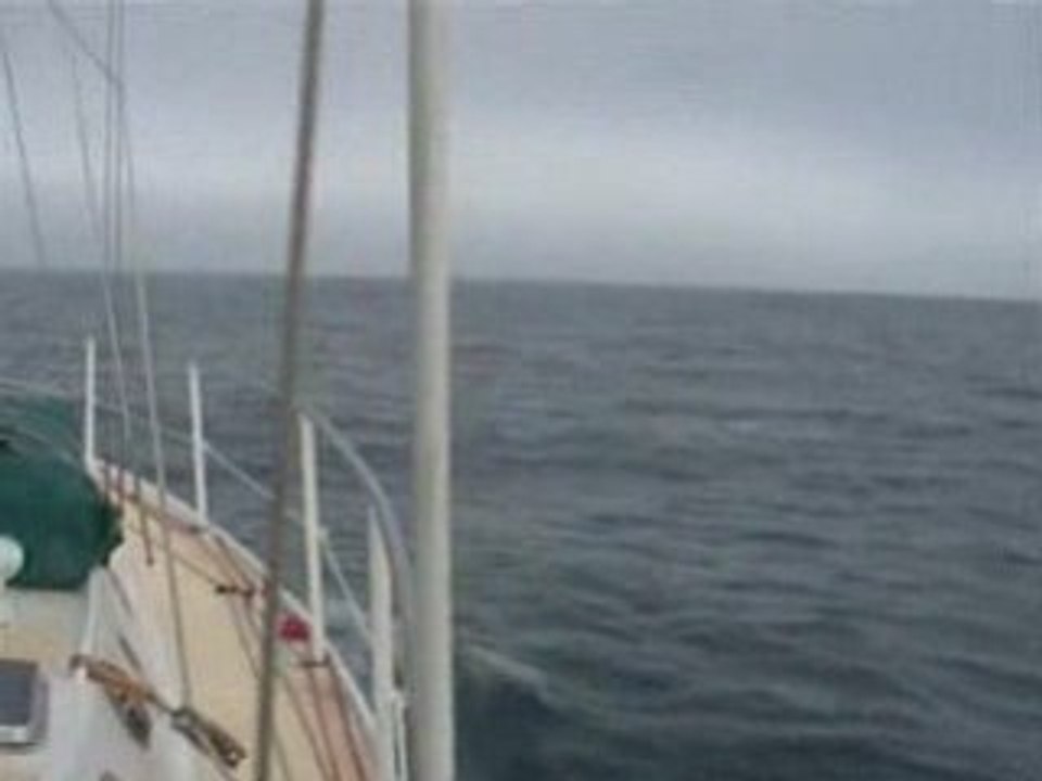 Namibie Luderizt - Novembre 2001