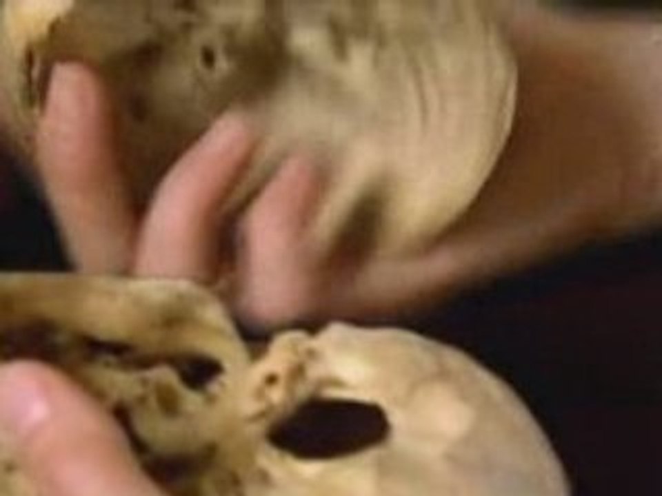 Une Nouvelle histoire des hominidés - Partie 1