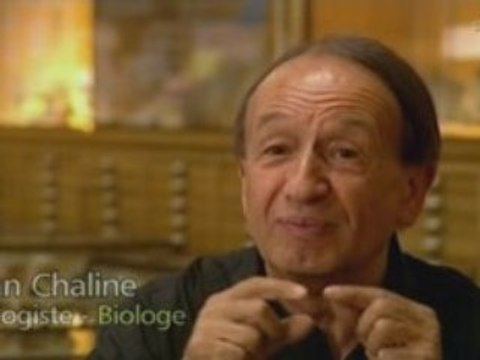 Une Nouvelle histoire des hominidés - Partie 3