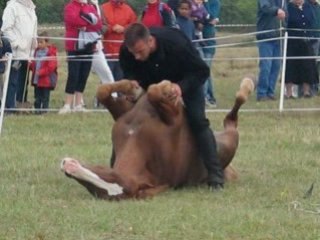 Diaporama 2008