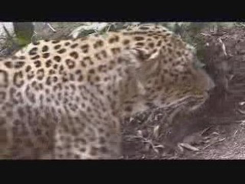 7 secondes couleur - Zoo de Doué la Fontaine