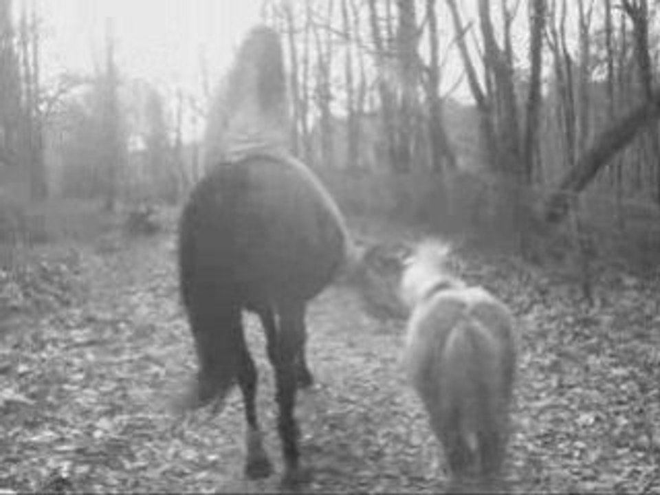 Sceheyenne &  Cadence 20 Fevrier 2009