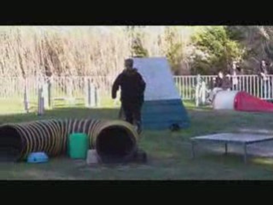 2009 01 gpf ollioules bambou