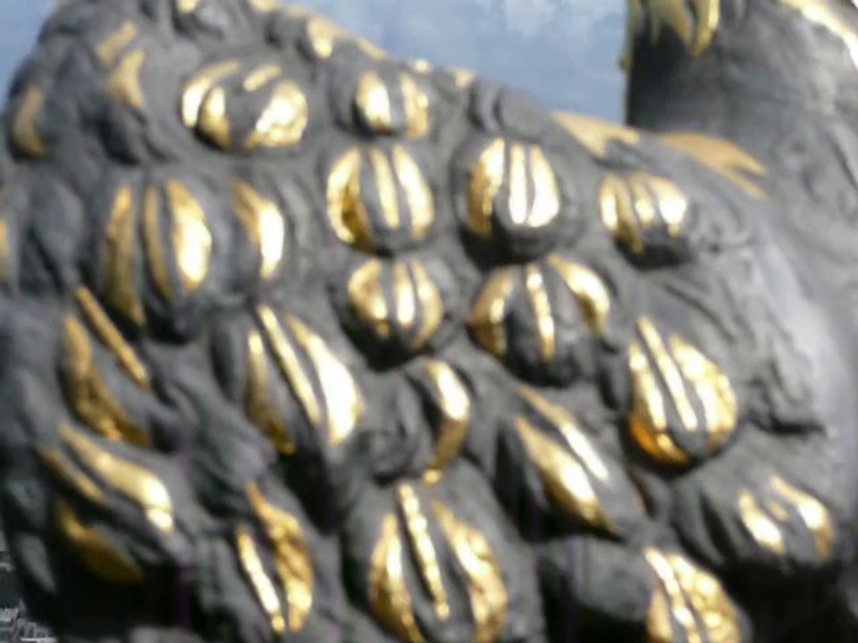 P1010392