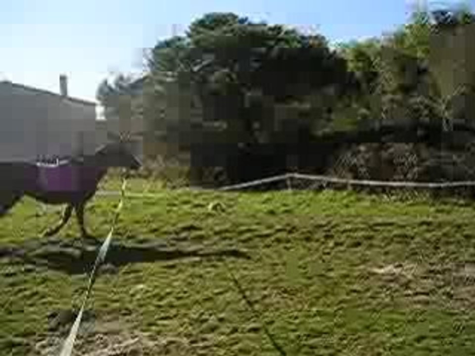 P1010068