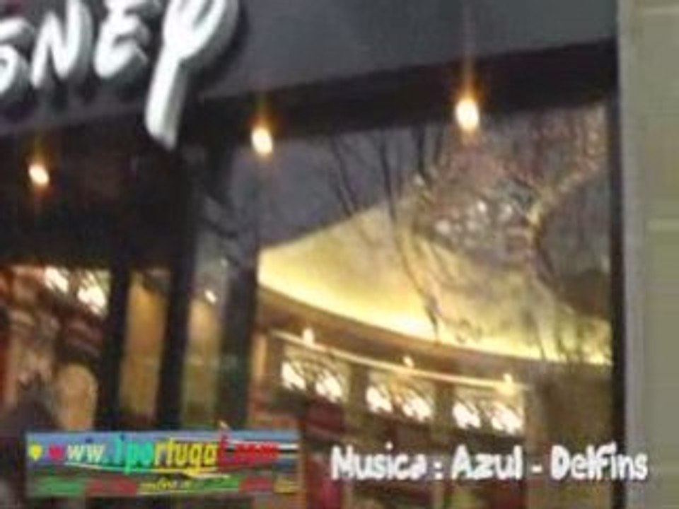 Paris  Champs Elysees - fevreiro 2009