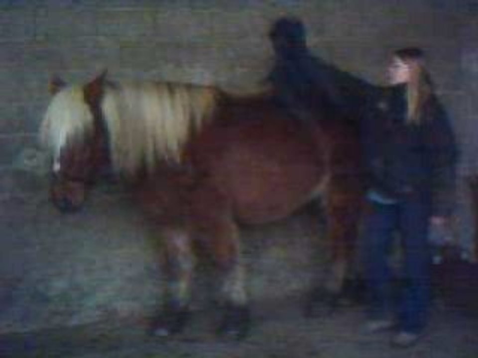 Poncho3