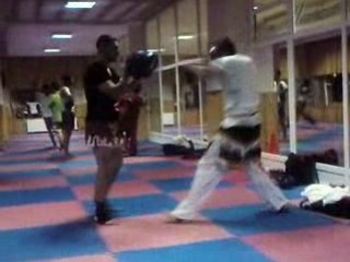 Halis avsar-turgay osak