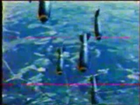 masta killa by miss turtle