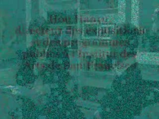 Hou Hanru, Chevalier des Arts et des Lettres