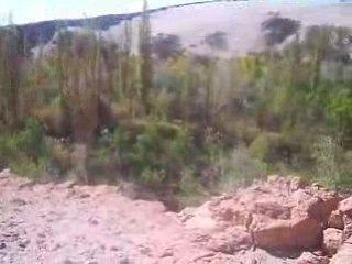 23 09 2008 Oasis de Jerez Desierto de Atacama