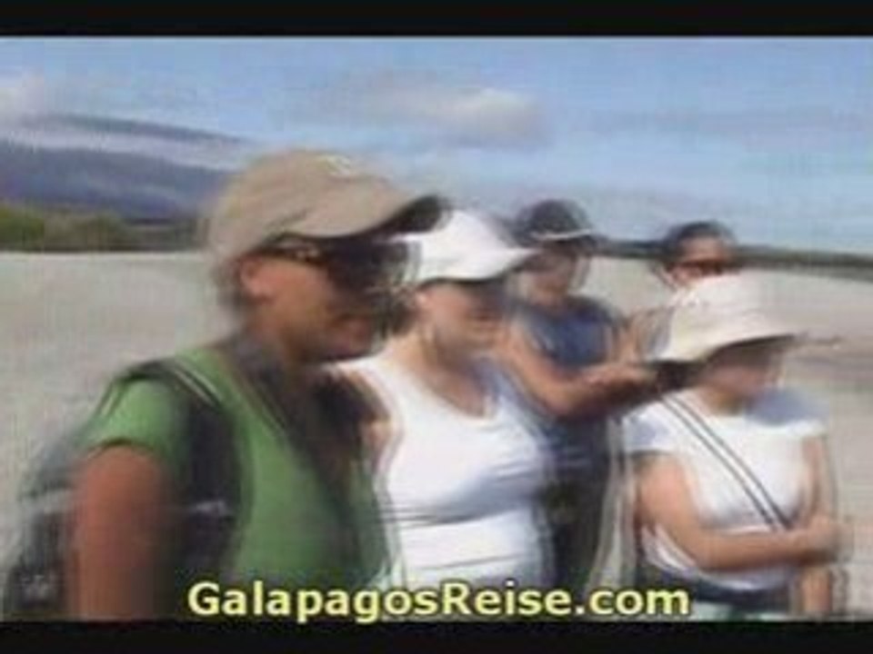 Galapagos video blog 2008 Video 06