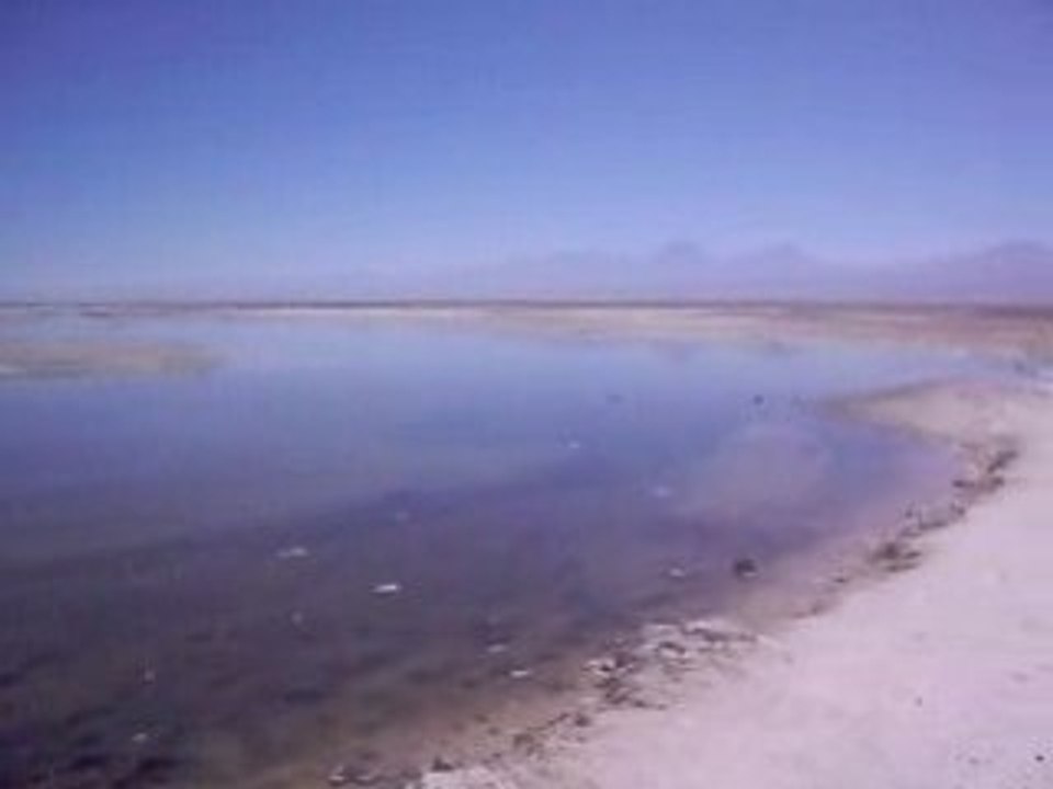 23 09 2008 Salar de Atacama Desierto de Atacama #03