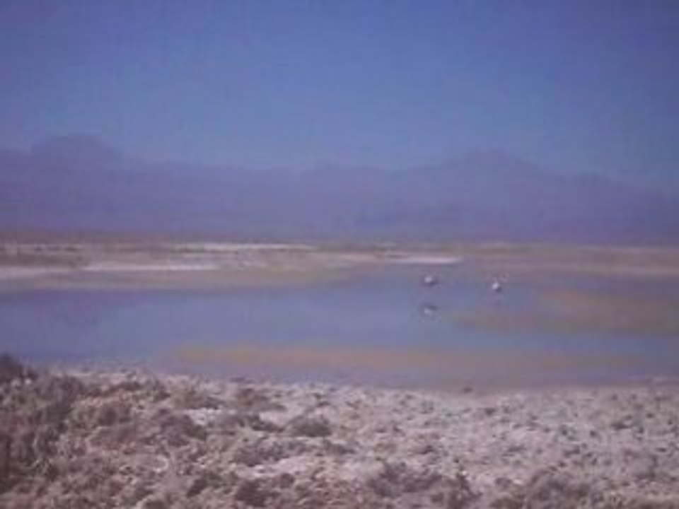 23 09 2008 Salar de Atacama Desierto de Atacama #02