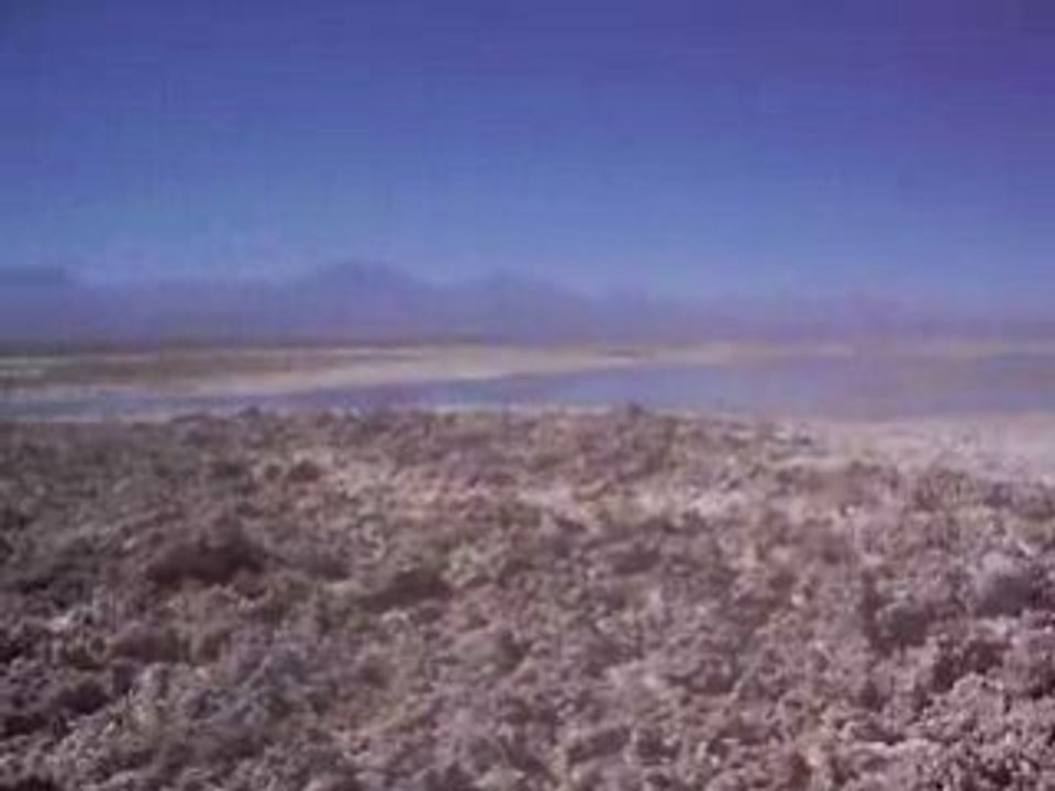 23 09 2008 Salar de Atacama Desierto de Atacama #04