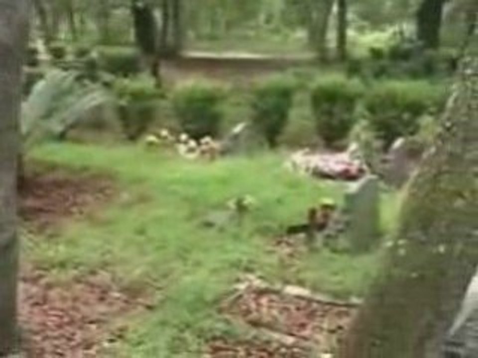 MyPetCemetaryVideo