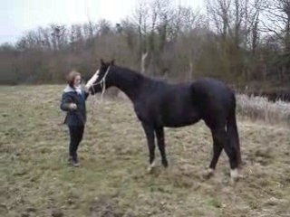 Tribal et ses débuts de pas espagnol 022