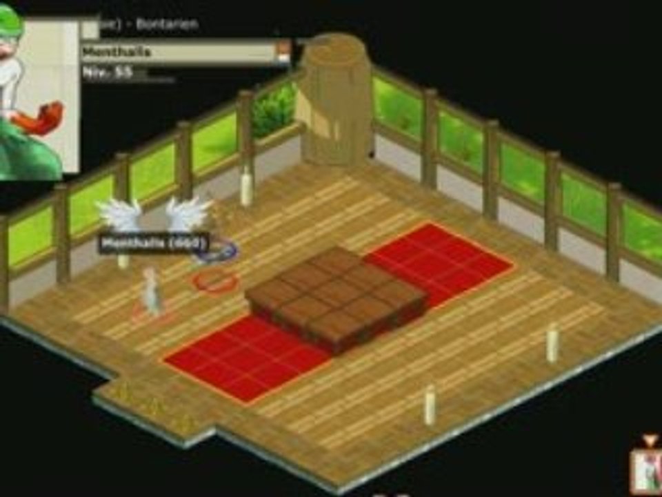 Sacrieur Air 55 // Dofus