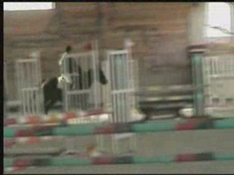 Léonie & quita en club 2 à lathus