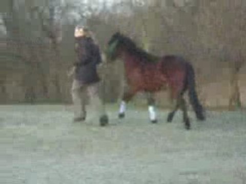 Roméo et moi o terrain de jeux