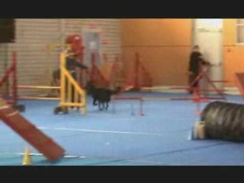 Concours Habsheim Créole