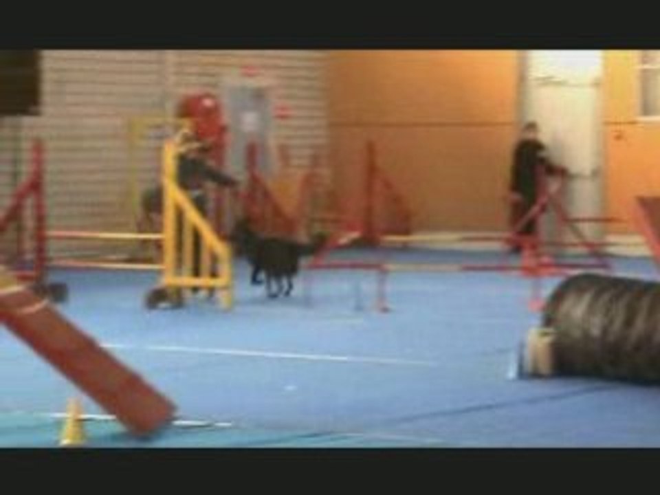 Concours Habsheim Créole