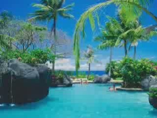 Kotsiras kane ton ximona kalokairi