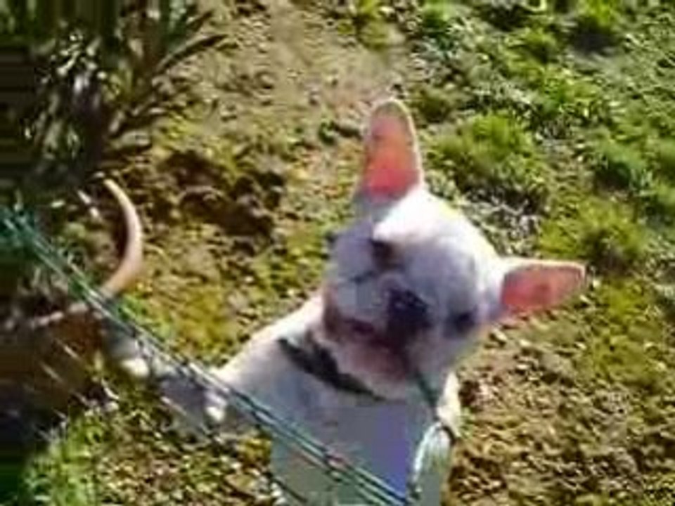 CLIP0015