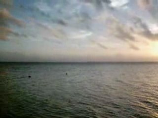 Moorea, plage de l'ancien Club Med . Le Pacifique. 2006.