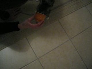 La gourmandise est un villain défaut