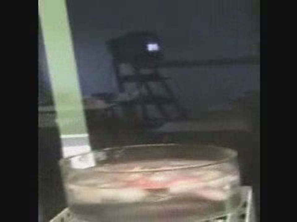 Glaçe