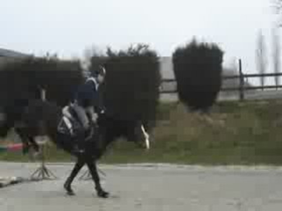 Echauffement  21-02-2009