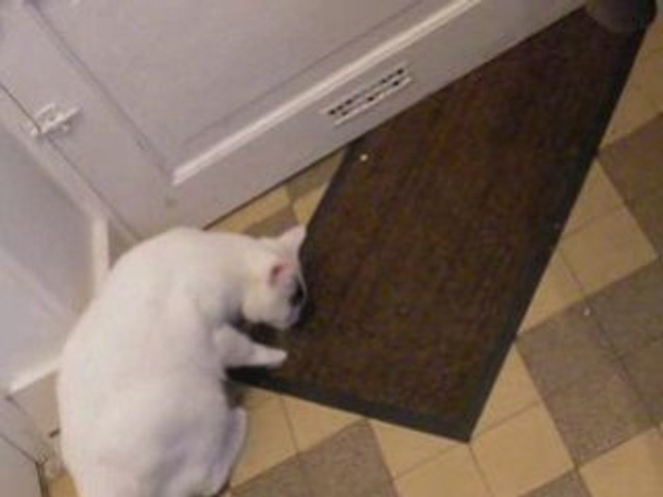 On frappe à la porte