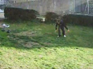 Training tricks javy & tradee