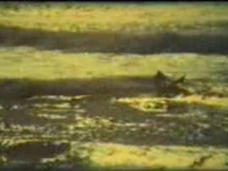 Parte 1 San Xuan en los 70 - 80