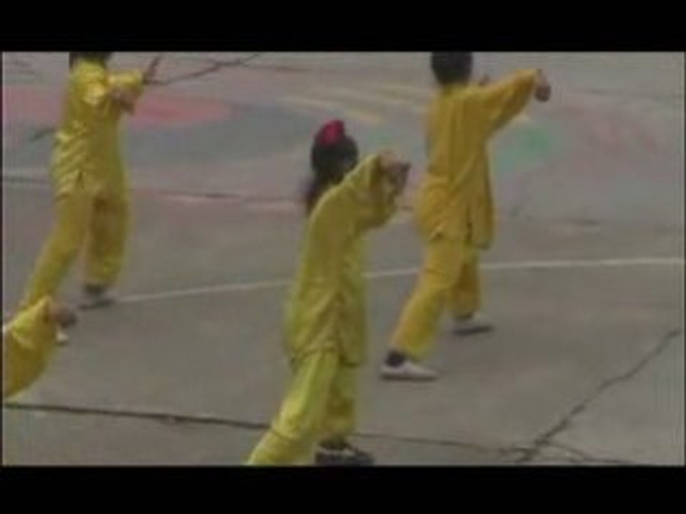 The Empty Mind - Wudang Mountain Tai Chi