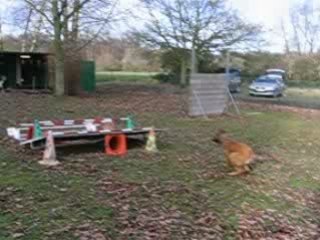 MVI_3280 la longueur les premiers sauts