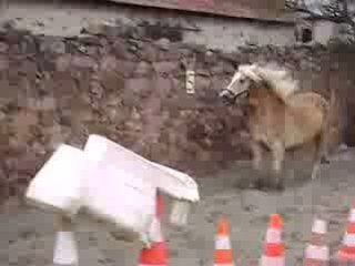 Ares qui saute 1m