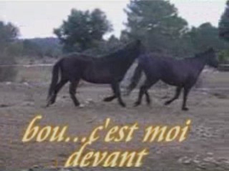 Quenotte