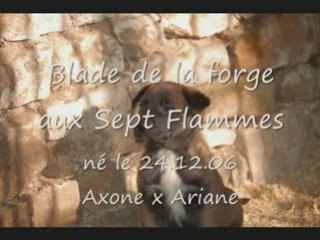 Blade de la Forge aux 7 Flammes