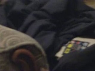 Nos chats Bengals elles s'eclatent   _ Demone et Diablesse_