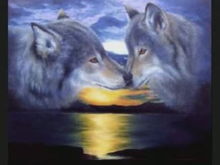 Deux amis pour un amour