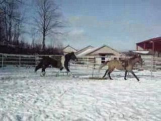 7ème séance + Balade