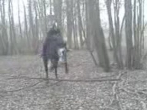 Balade vac fev 09 (1)