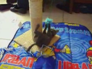 Mimi Legrand M&F Oct 2008 P03